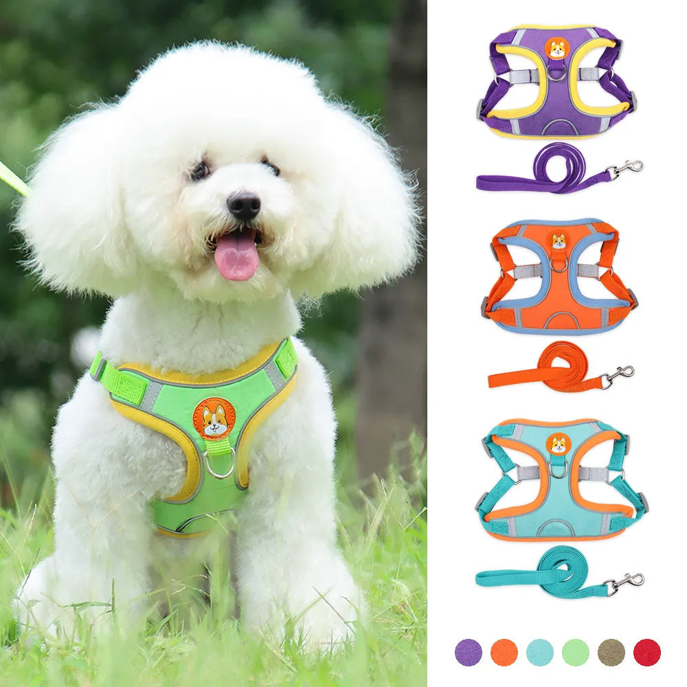 Adjustable Dog Harness and Leash Set