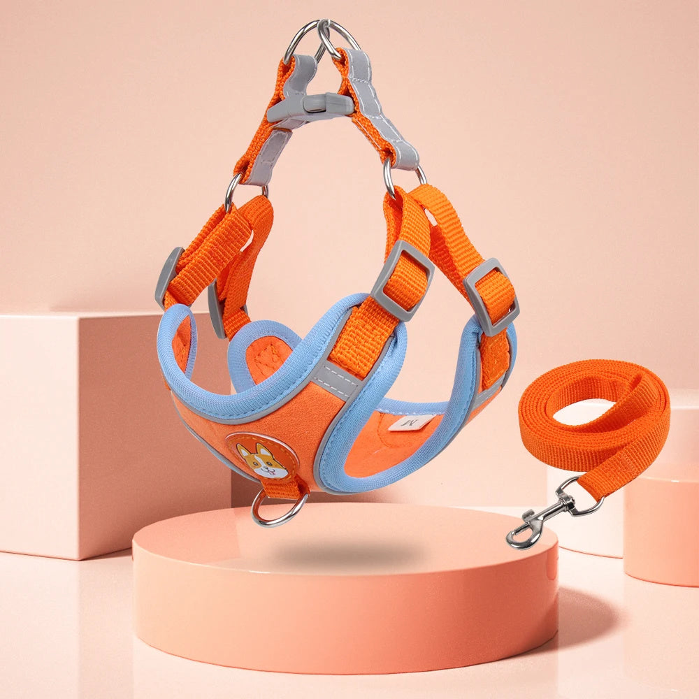 Adjustable Dog Harness and Leash Set