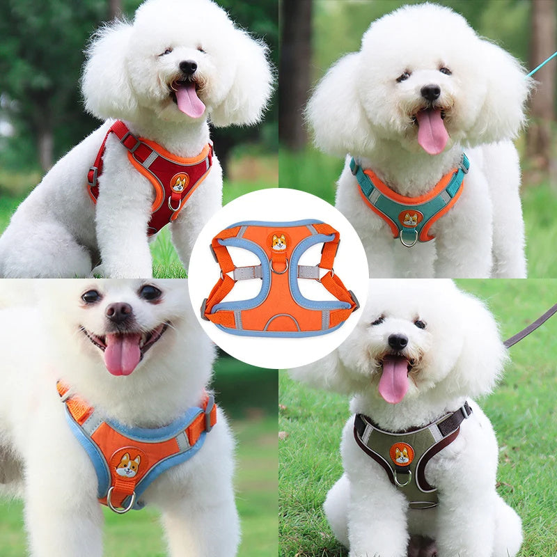 Adjustable Dog Harness and Leash Set