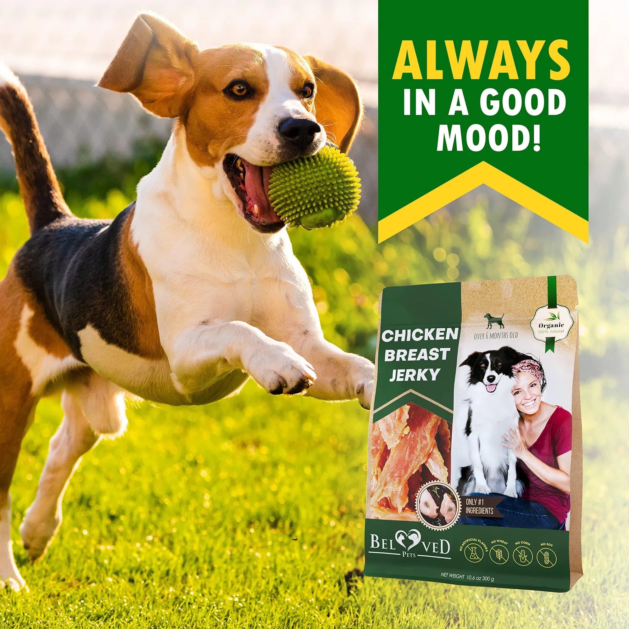Chicken Jerky Dog Treats, Natural High Protein Snacks