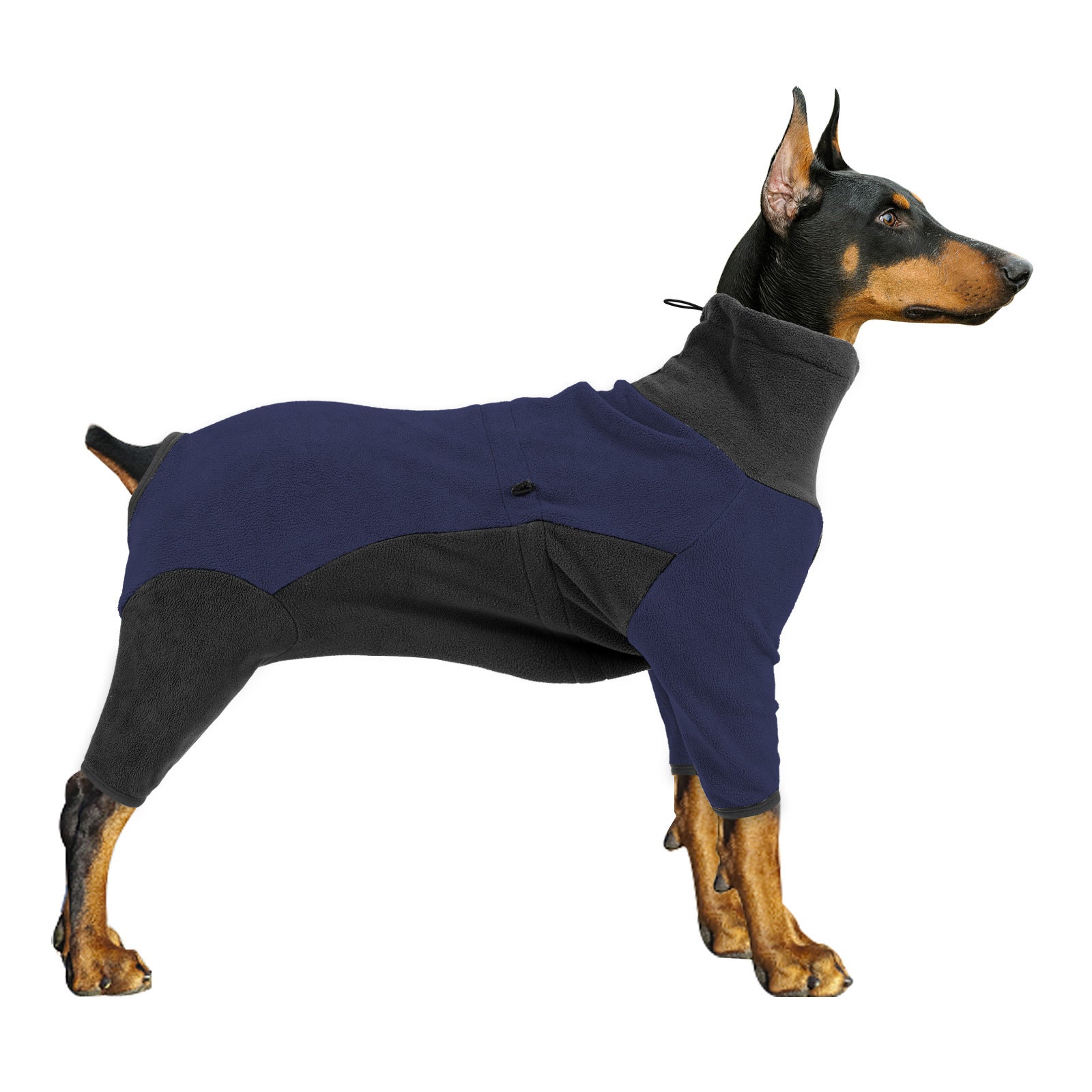 Dog Winter Jacket – Cold-Proof and Cozy Wear
