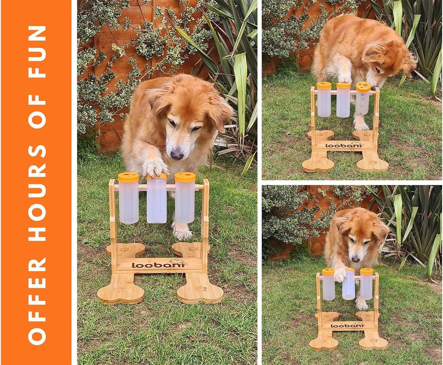 Wooden Dog Toy, Snack Dispenser & Puzzle Feeder