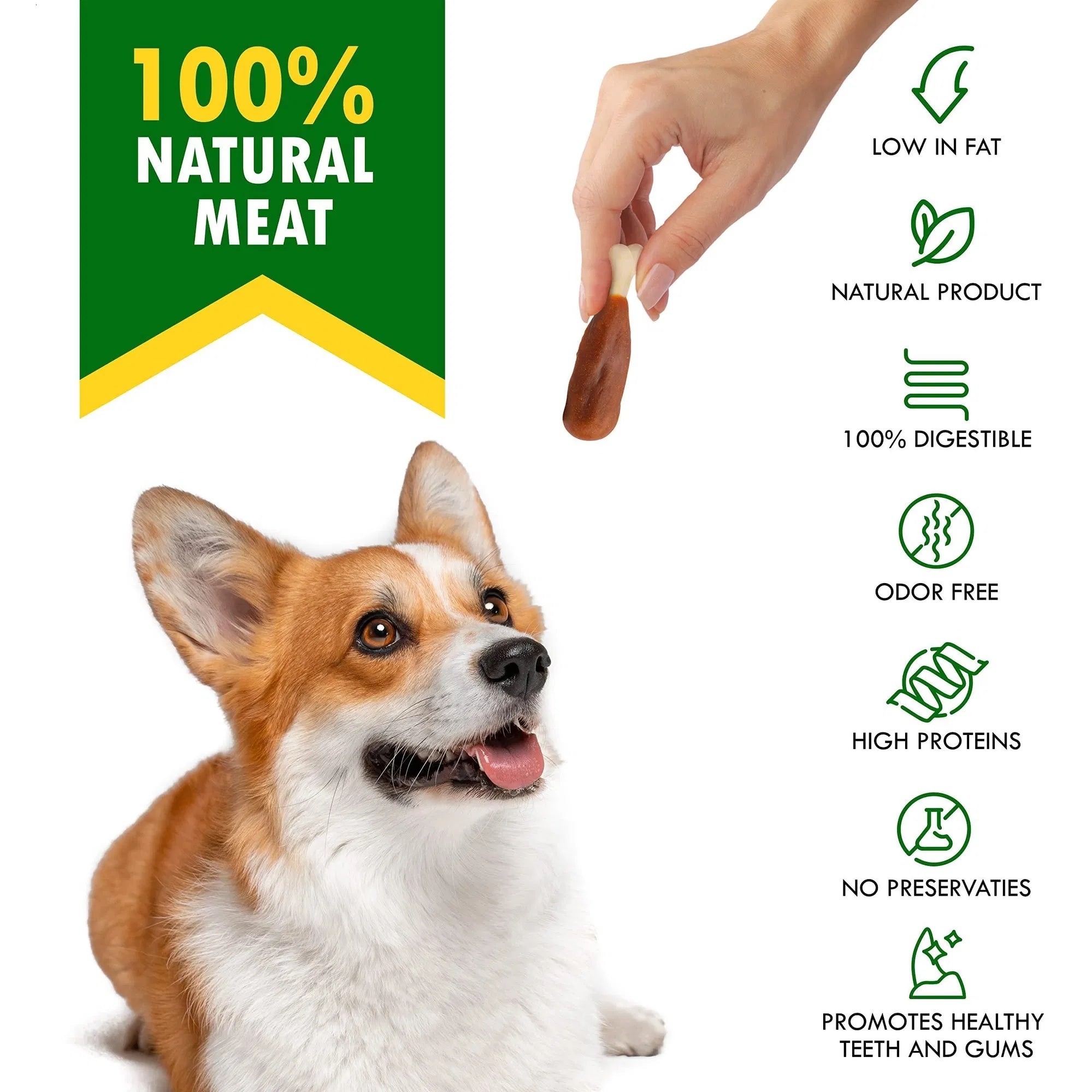 Natural Chicken Dog Treats, Rawhide-Free and Healthy