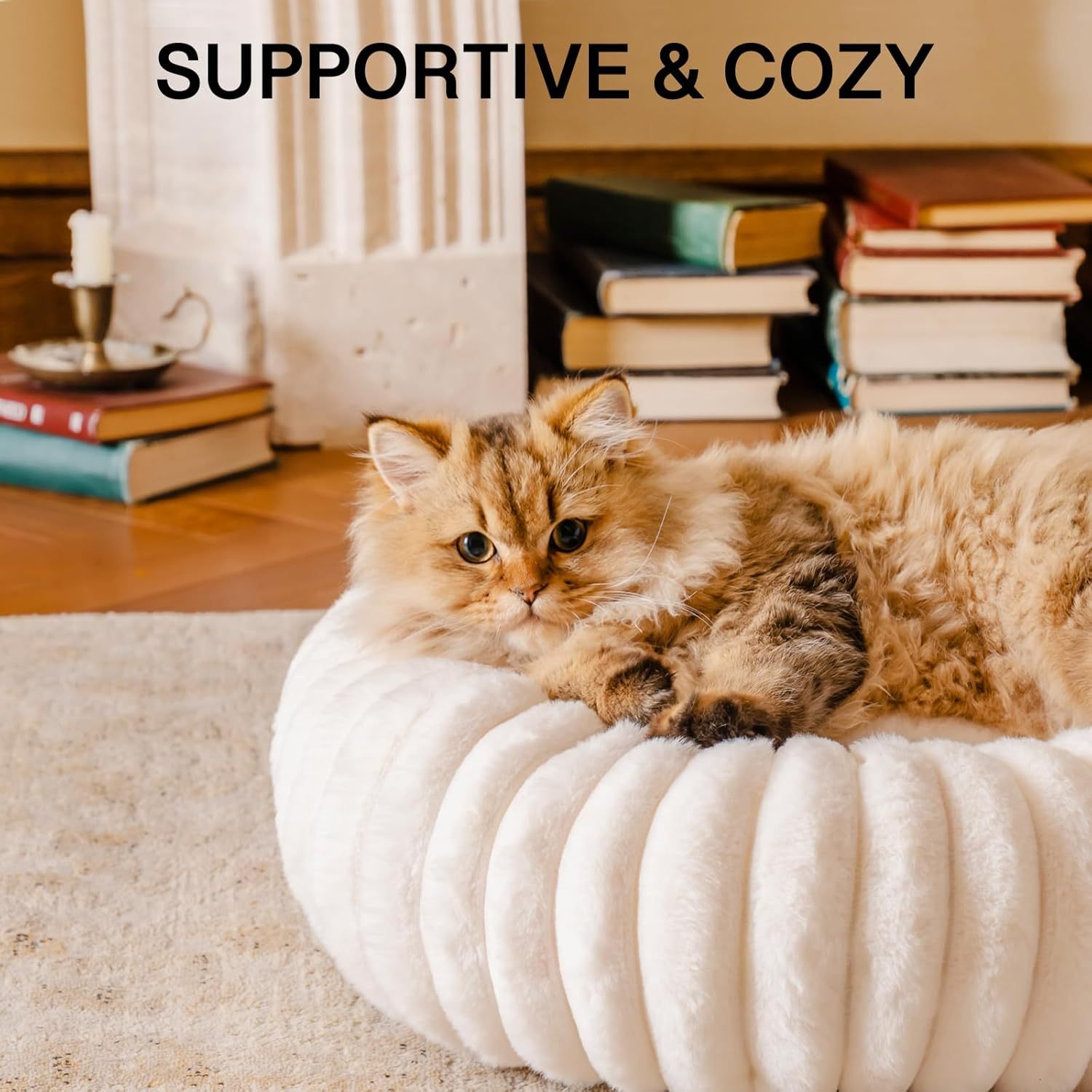 Washable Puppy and Kitten Donut Bed