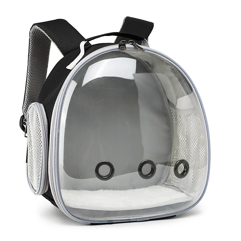 Transparent Pet Backpack, Small Animal Carrier
