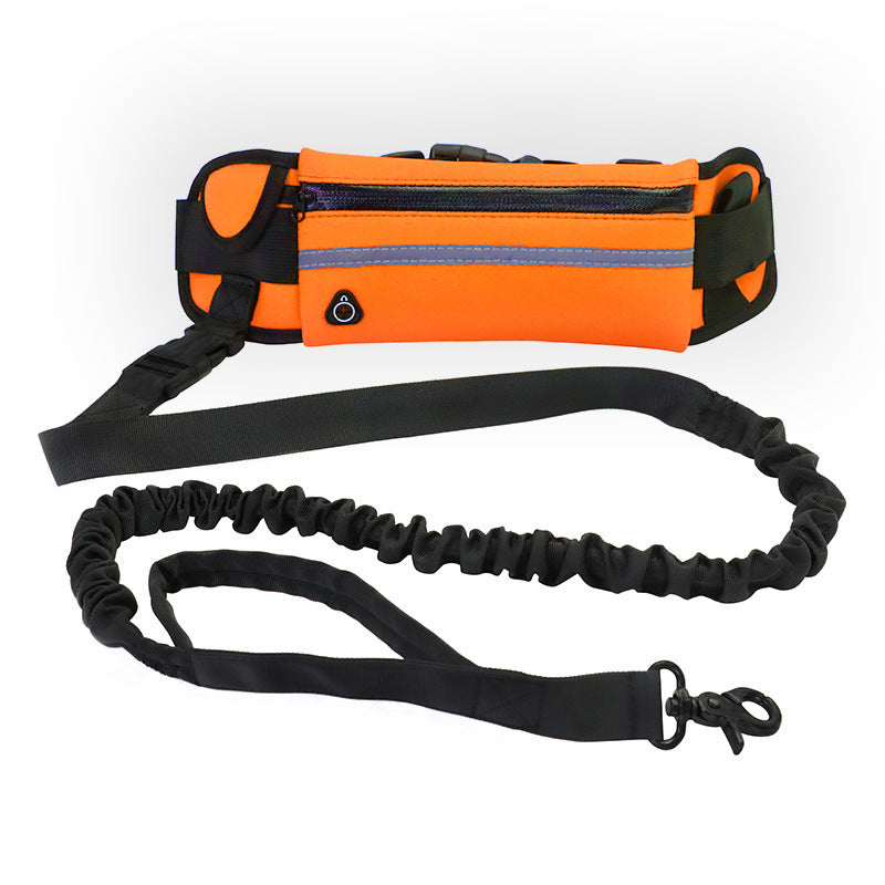 Pet Walking Belt with Phone Pocket and Bottle Holder