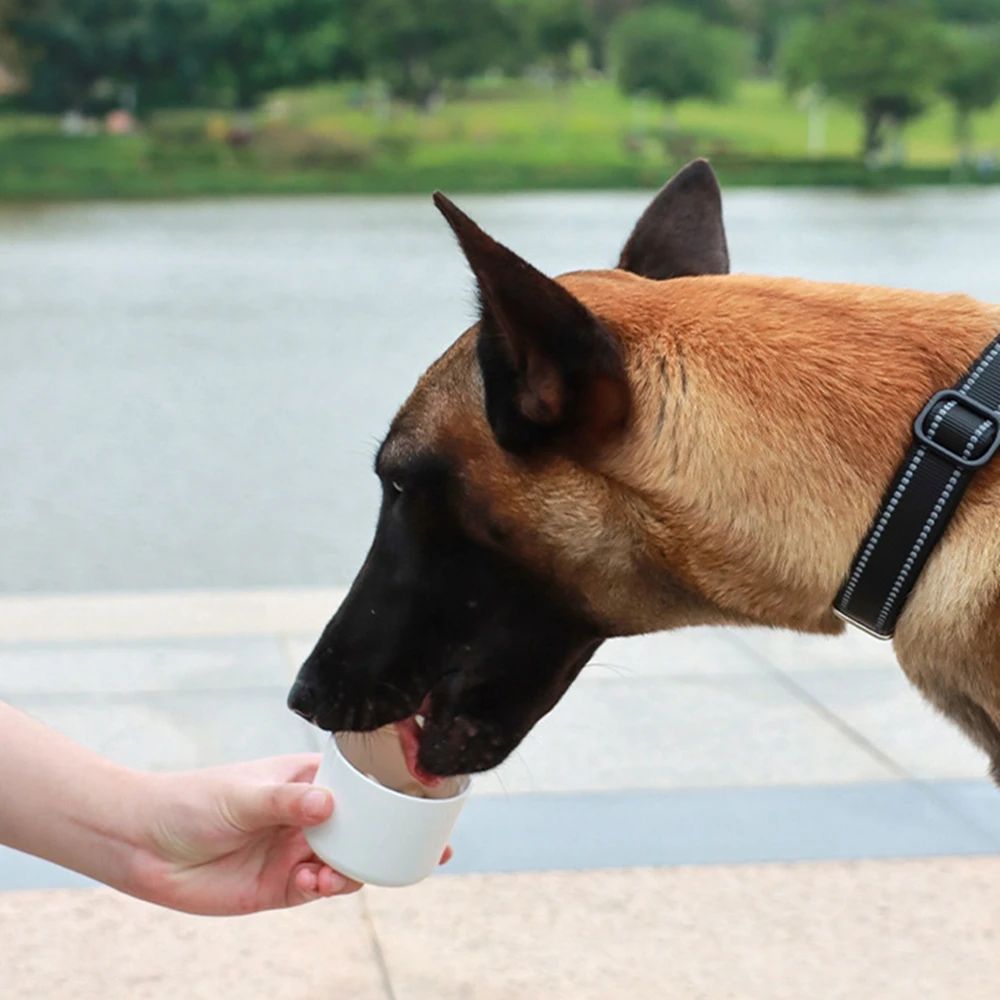 Portable Water & Food Bottle for Dogs & Cats