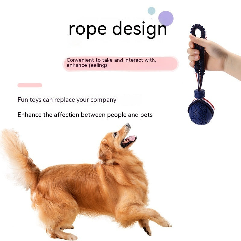 Durable Dog Chewing Ball with Rope