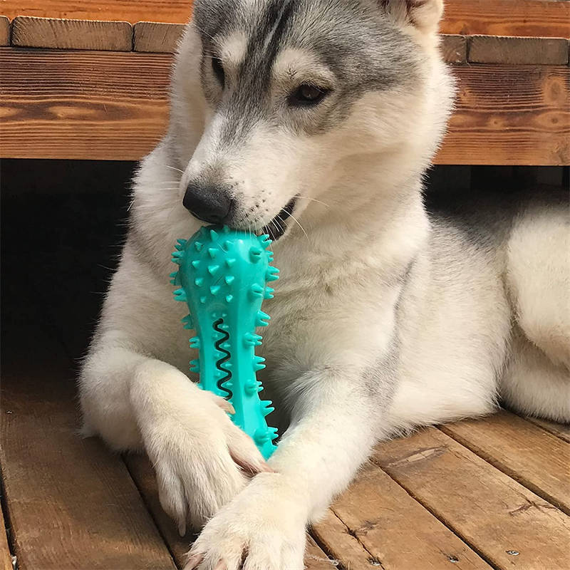 Durable Dog Chew Toy for Aggressive Chewers