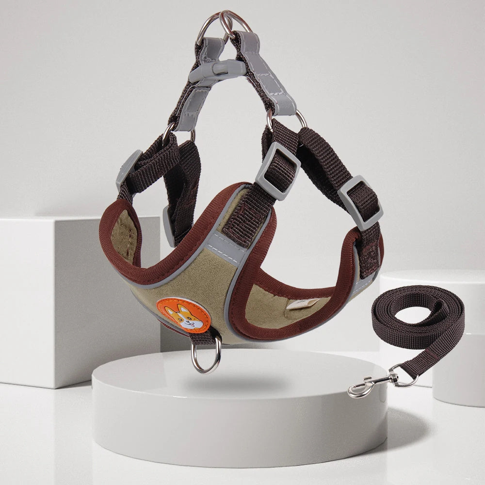 Adjustable Dog Harness and Leash Set