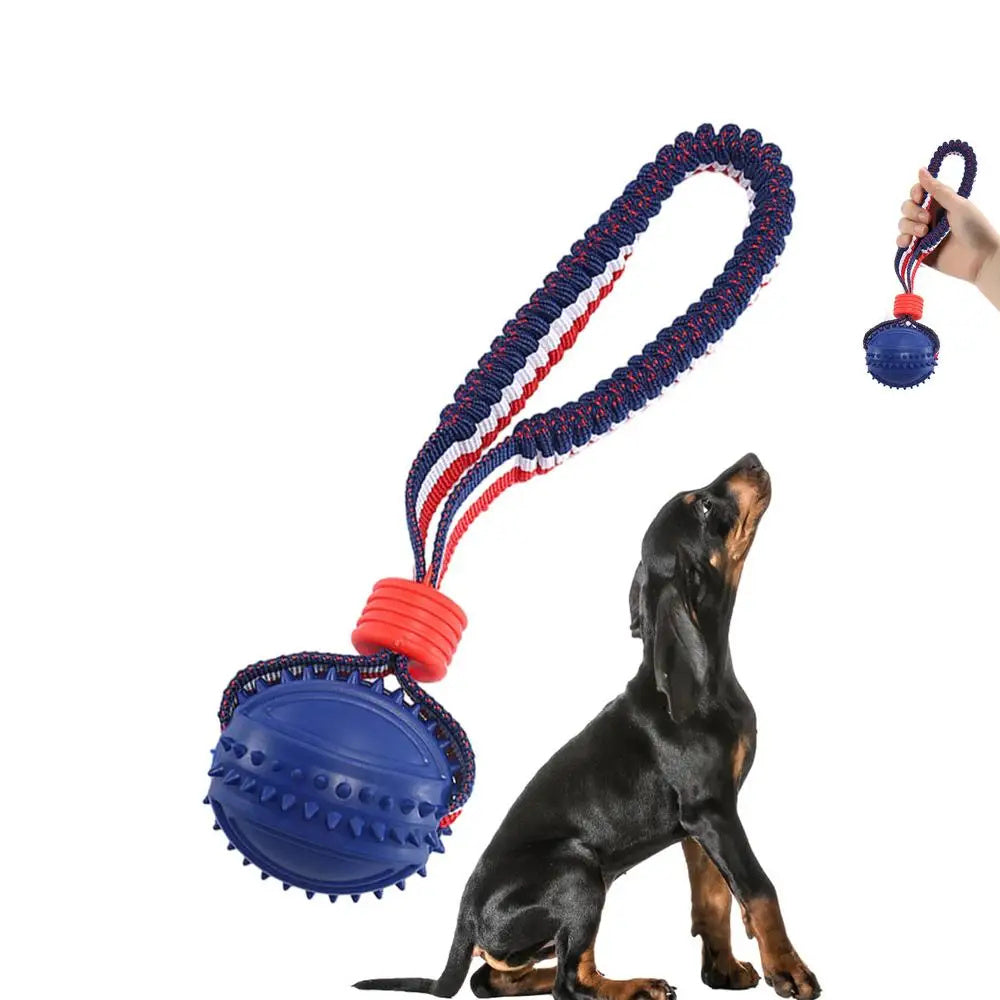 Durable Dog Chewing Ball with Rope