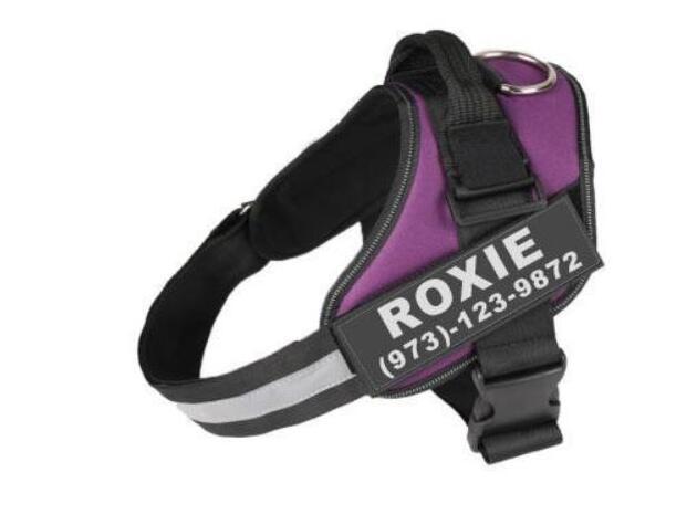 Reflective Adjustable Dog Harness for Small and Large Dogs
