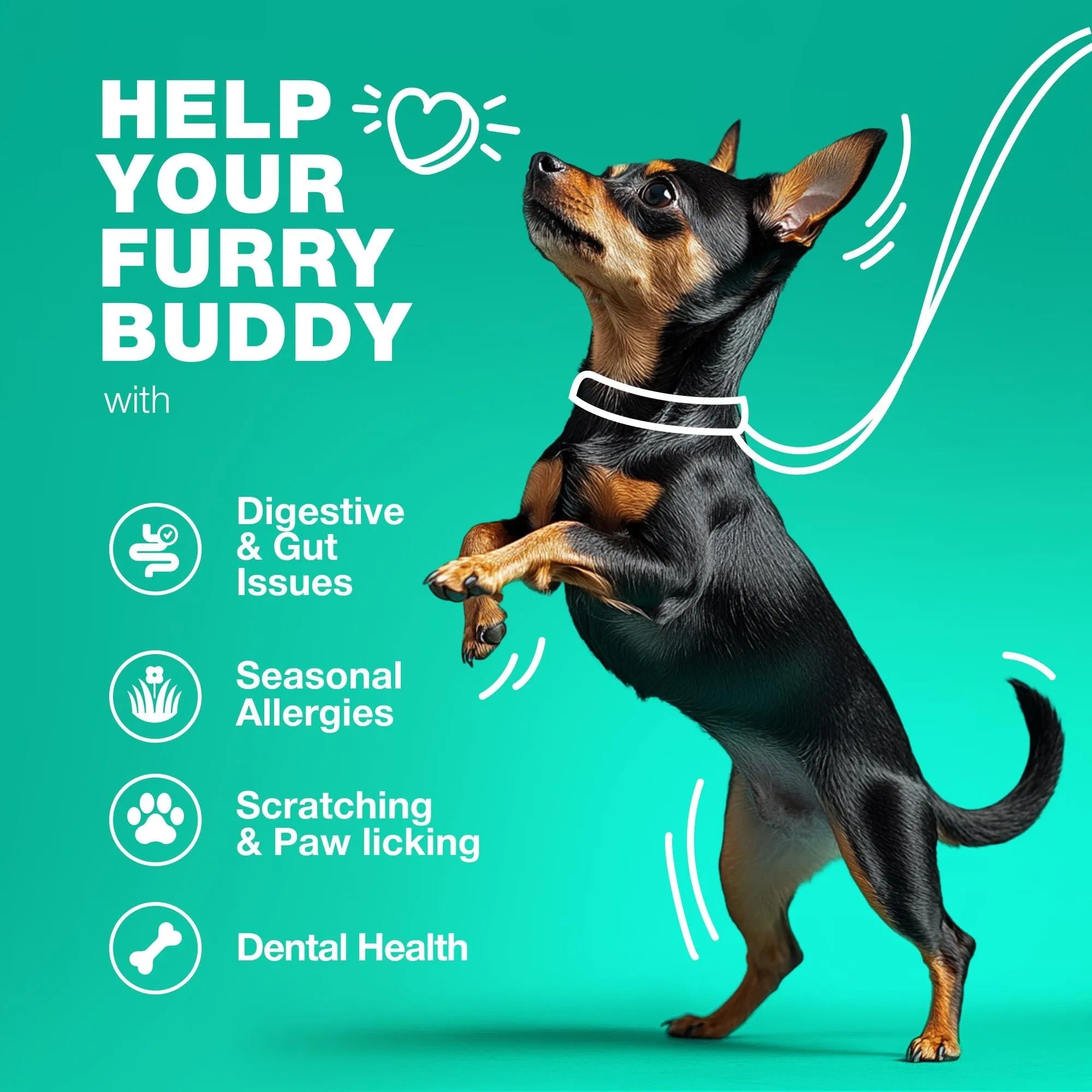 Probiotic Chews for Dogs – Gut & Allergy Support