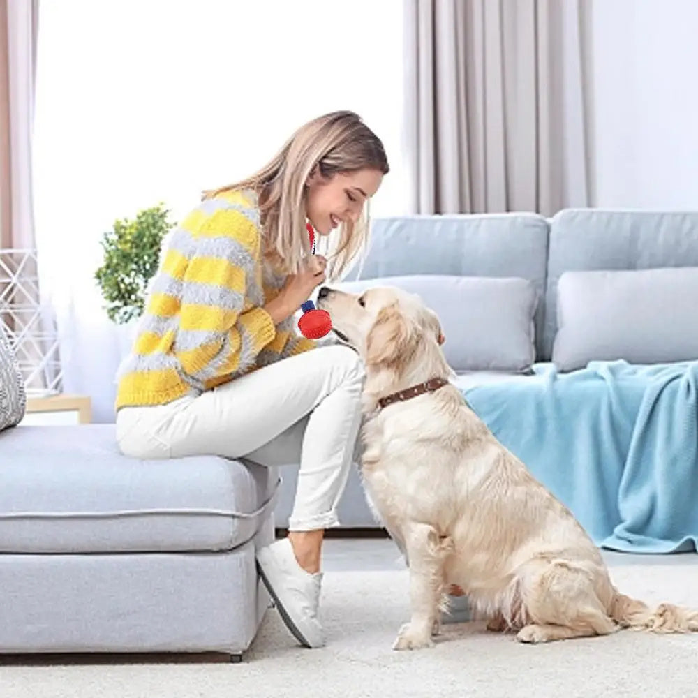 Durable Dog Chewing Ball with Rope