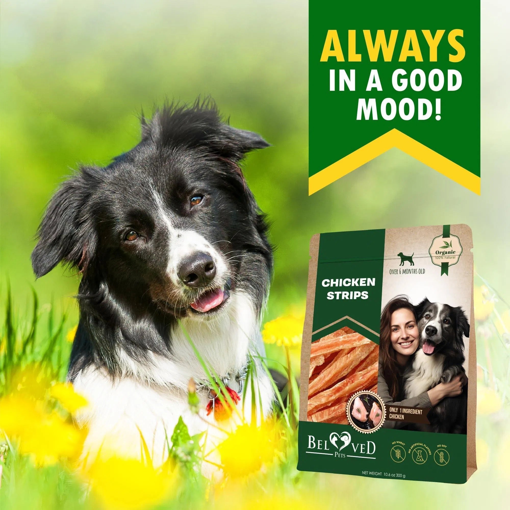 Chicken Strips Chews for Happy Dogs