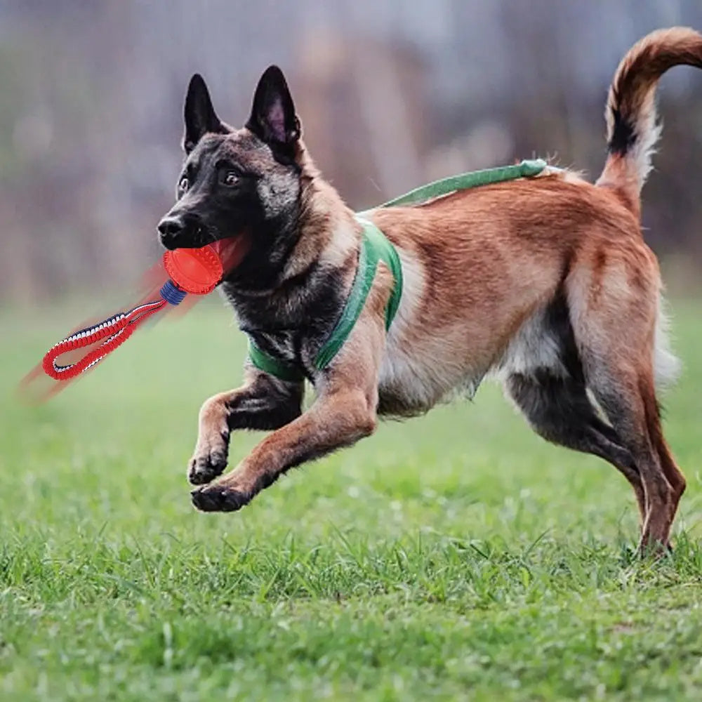 Durable Dog Chewing Ball with Rope