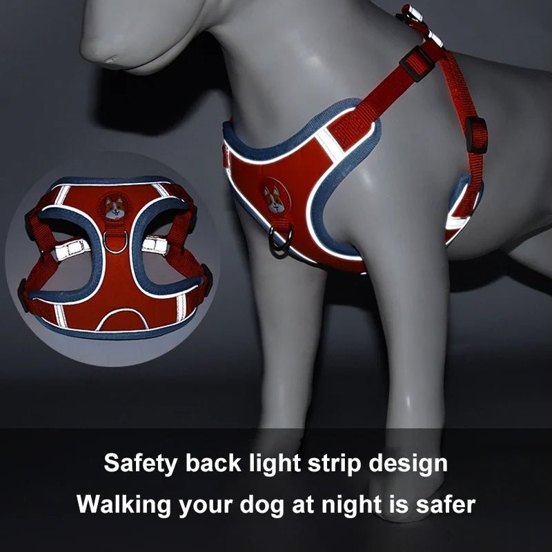Adjustable Dog Harness and Leash Set