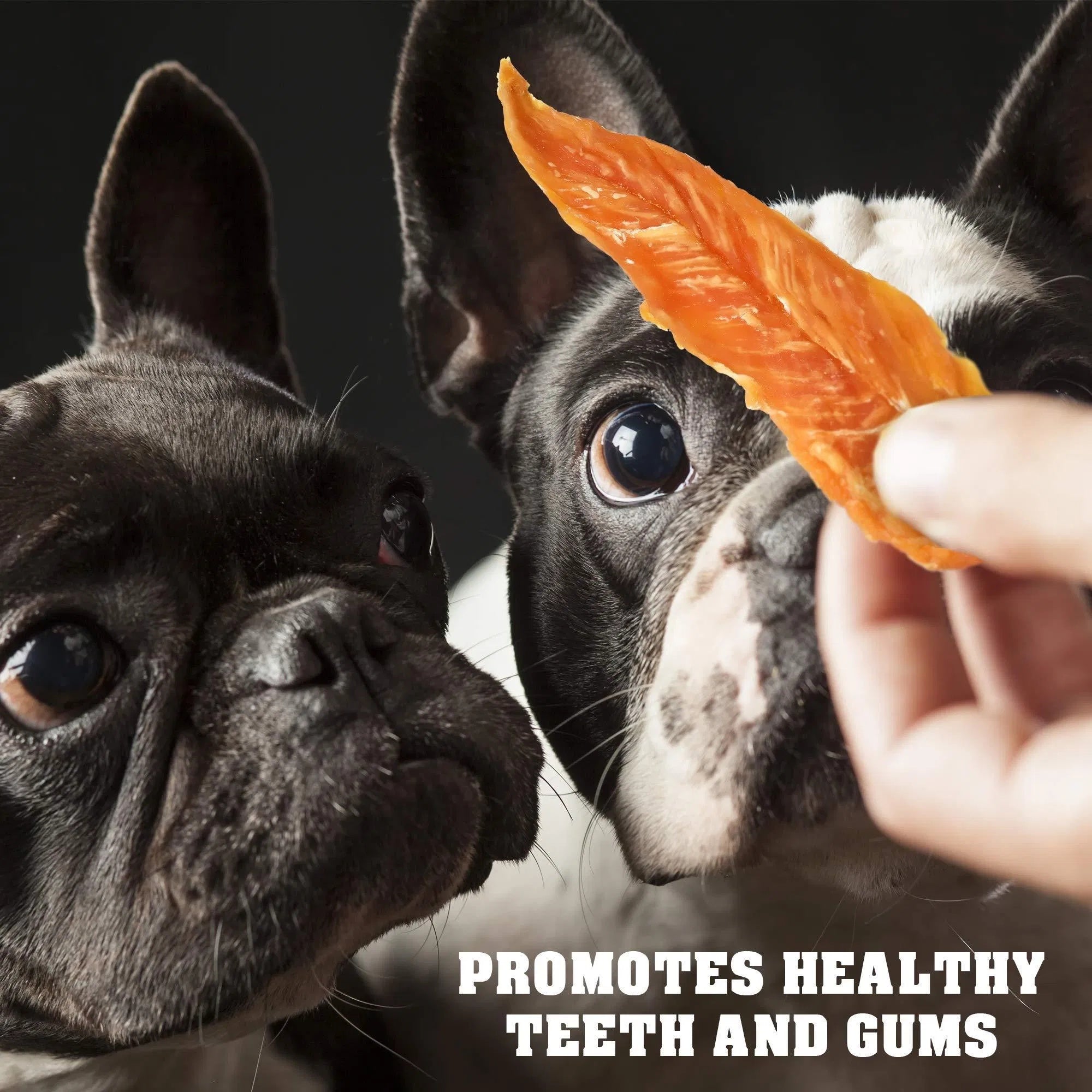 Chicken Jerky Dog Treats, 1.5 lb High Protein
