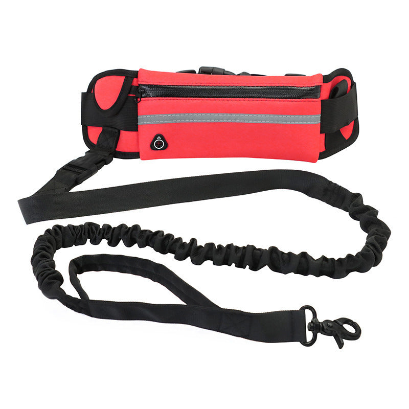 Pet Walking Belt with Phone Pocket and Bottle Holder