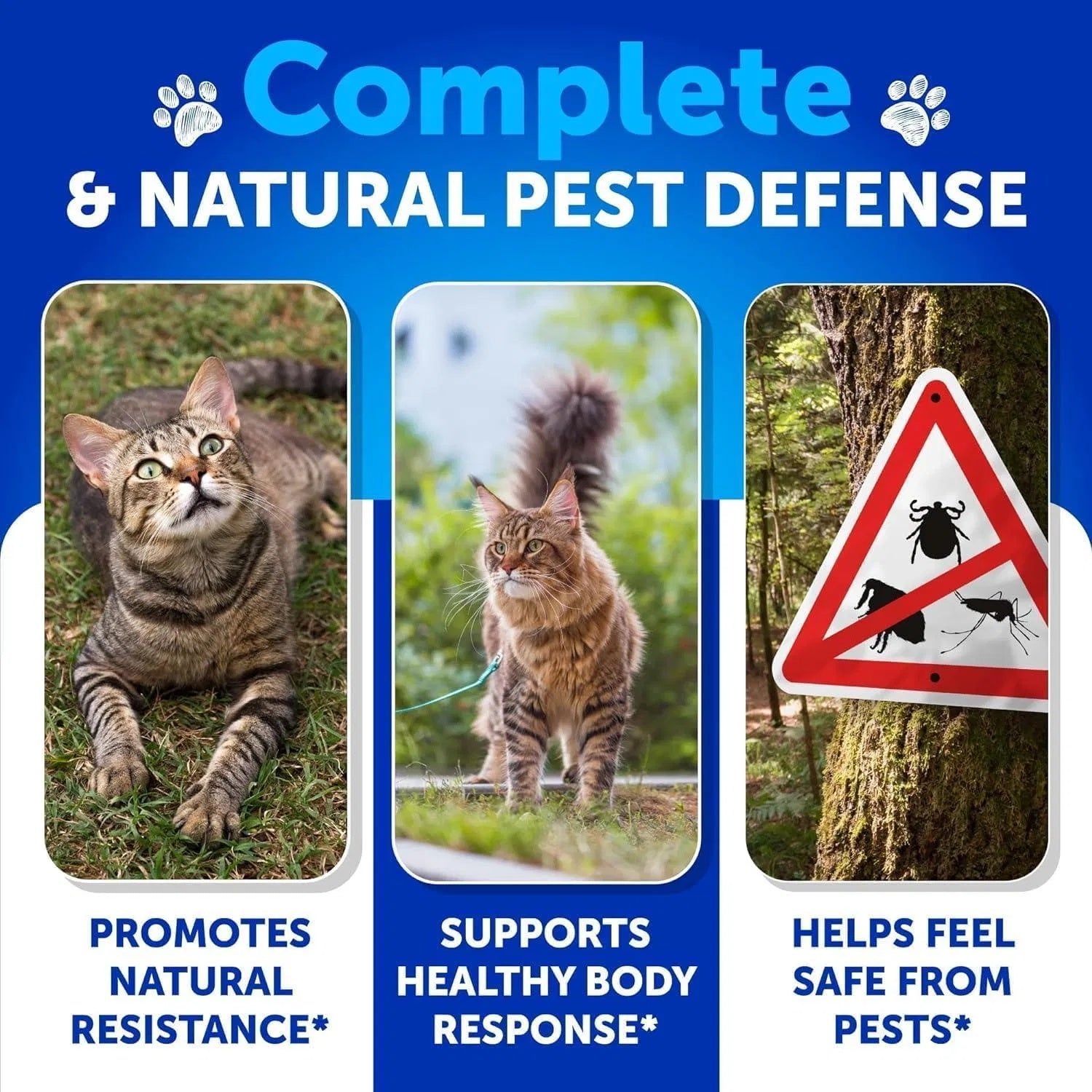 Natural Cat Flea Prevention and Coat Care