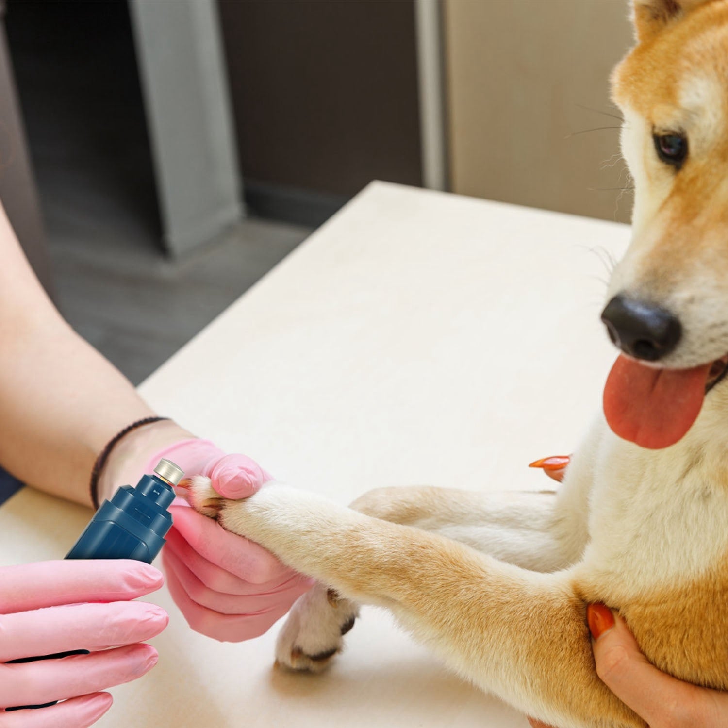 USB Rechargeable Dog Nail Grinder with 2 Speeds