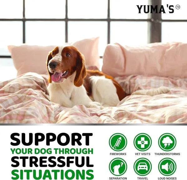 Natural Dog Calming Chews – No More Barking!