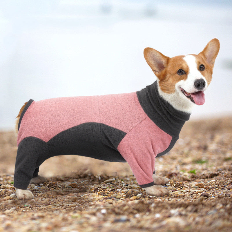 Dog Winter Jacket – Cold-Proof and Cozy Wear