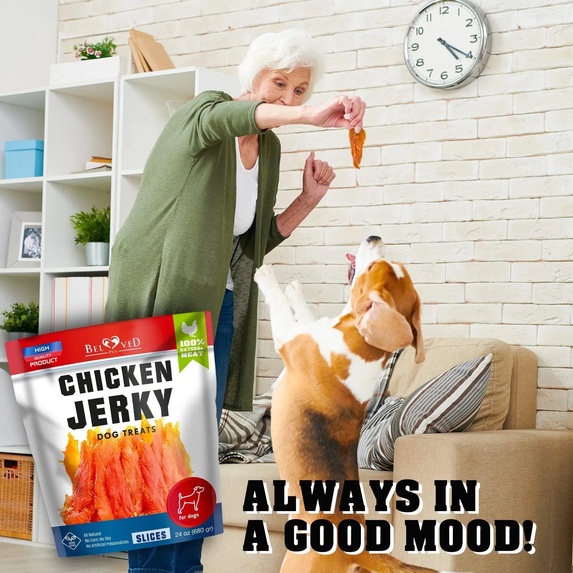 Chicken Jerky Dog Treats, 1.5 lb High Protein