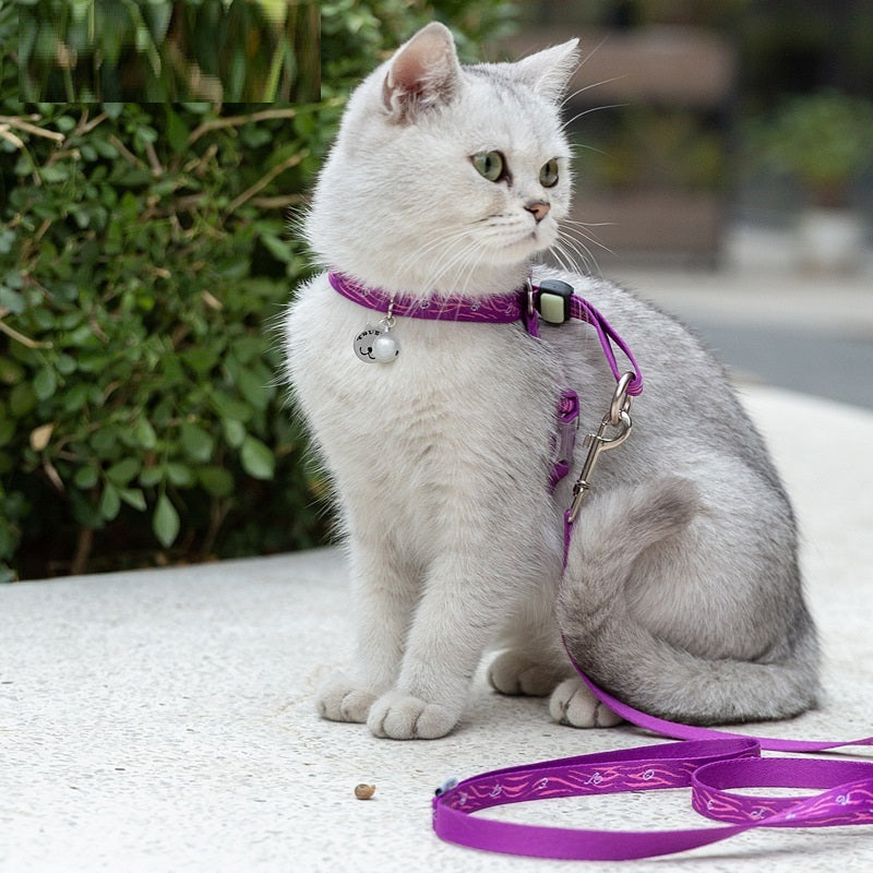 Cat Bell Harness with Leash for Small Dogs