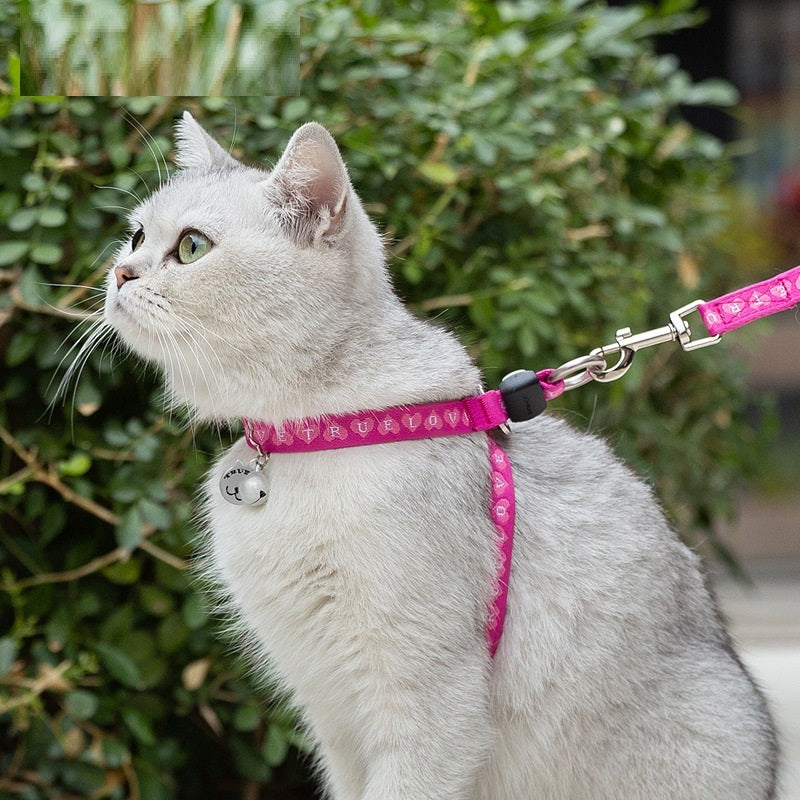 Cat Bell Harness with Leash for Small Dogs