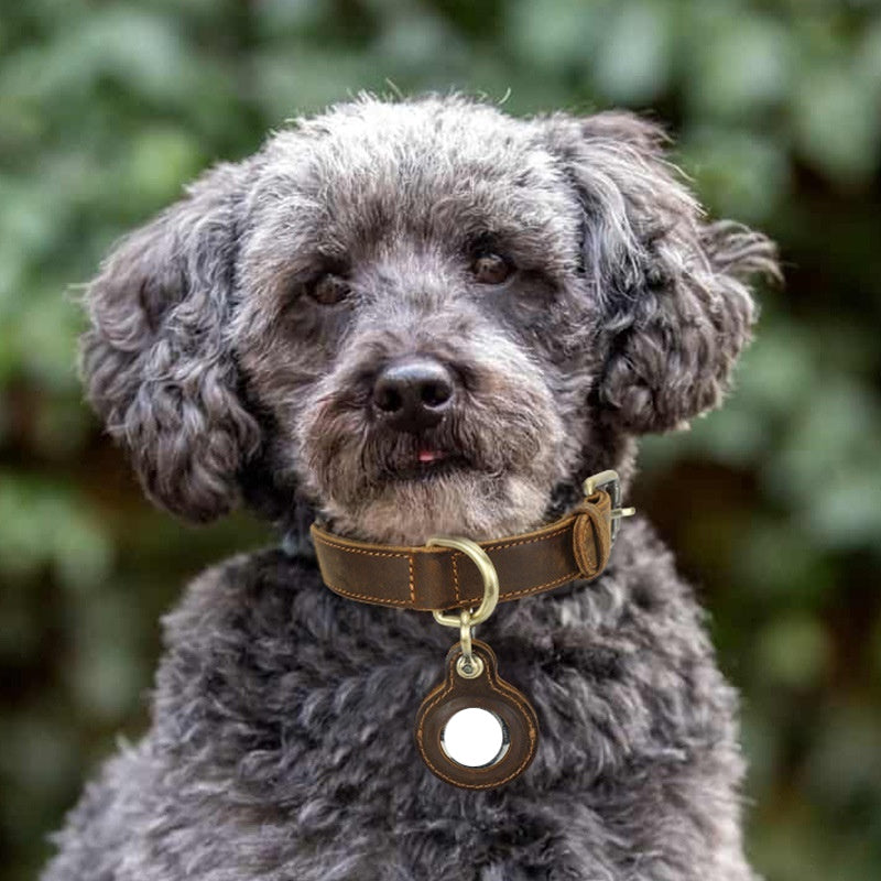 Anti-Lost Dog Collar with Positioning Design